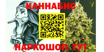 шишки Кингисепп