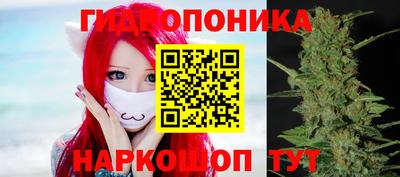 шишки Кингисепп