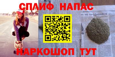 шишки Кингисепп