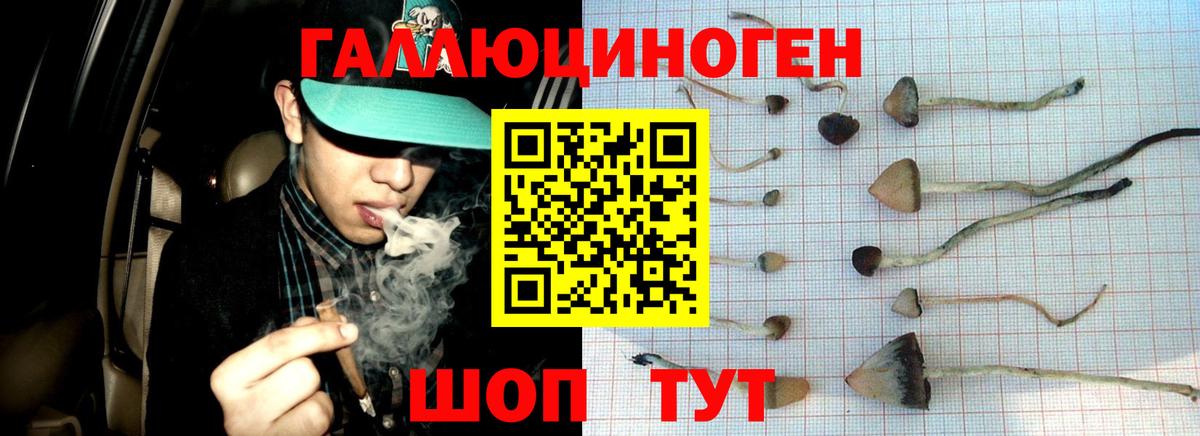 Псилоцибиновые грибы мицелий Кириши