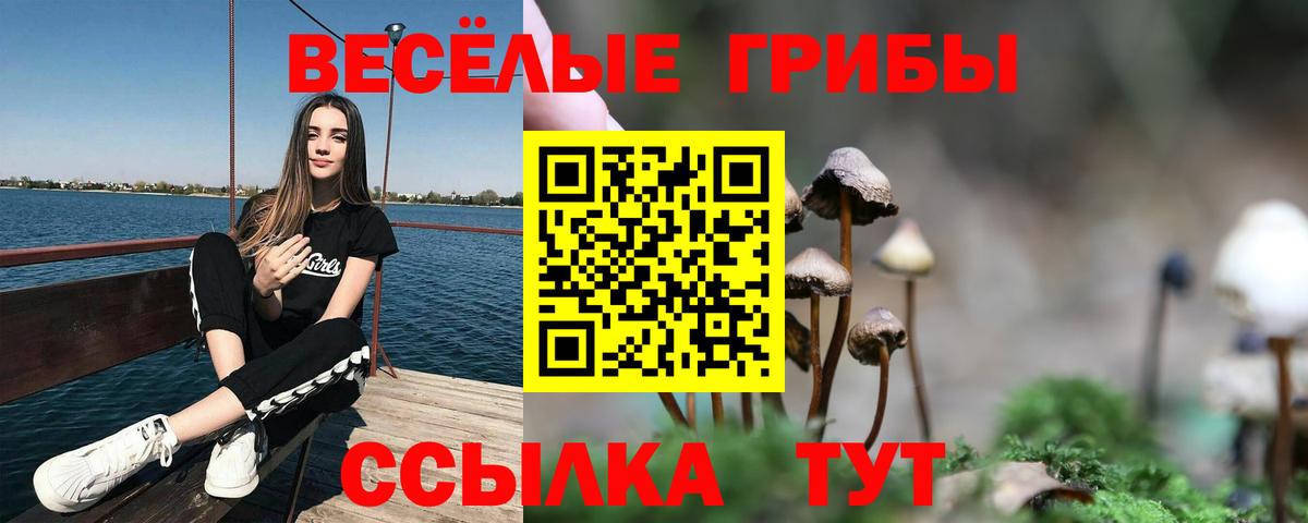 Псилоцибиновые грибы Psilocybine cubensis  Вход с VPN  Кириши 